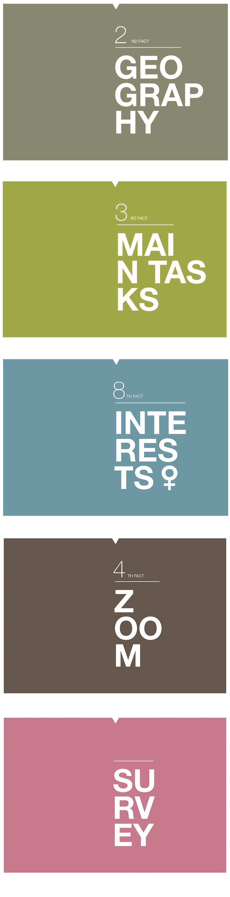 Triptrap Design & Kalligrafie - Schweizer Unternehmensberatung